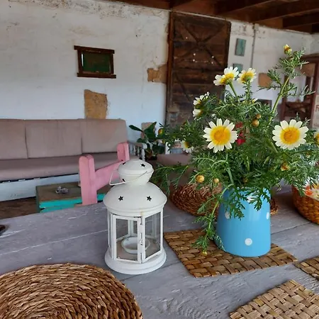 Casa Elsa * Puerto del Rosario (Fuerteventura)