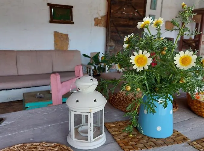 Casa Elsa * Puerto del Rosario (Fuerteventura)